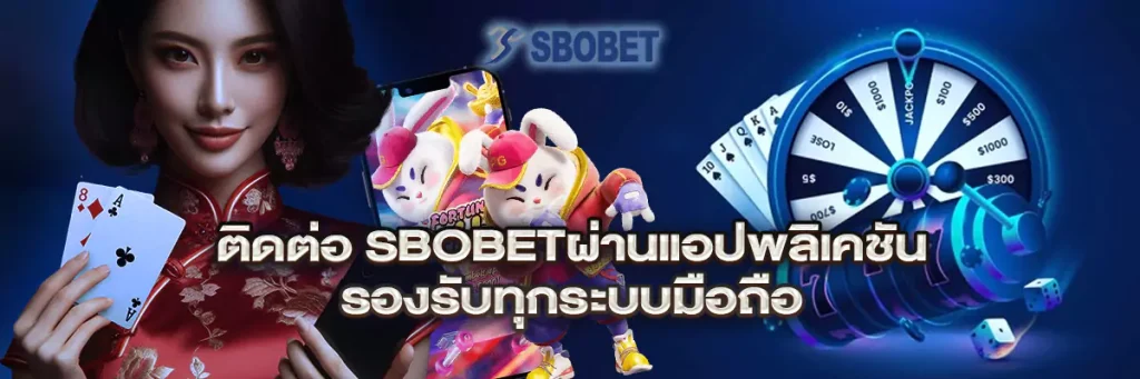 ติดต่อ